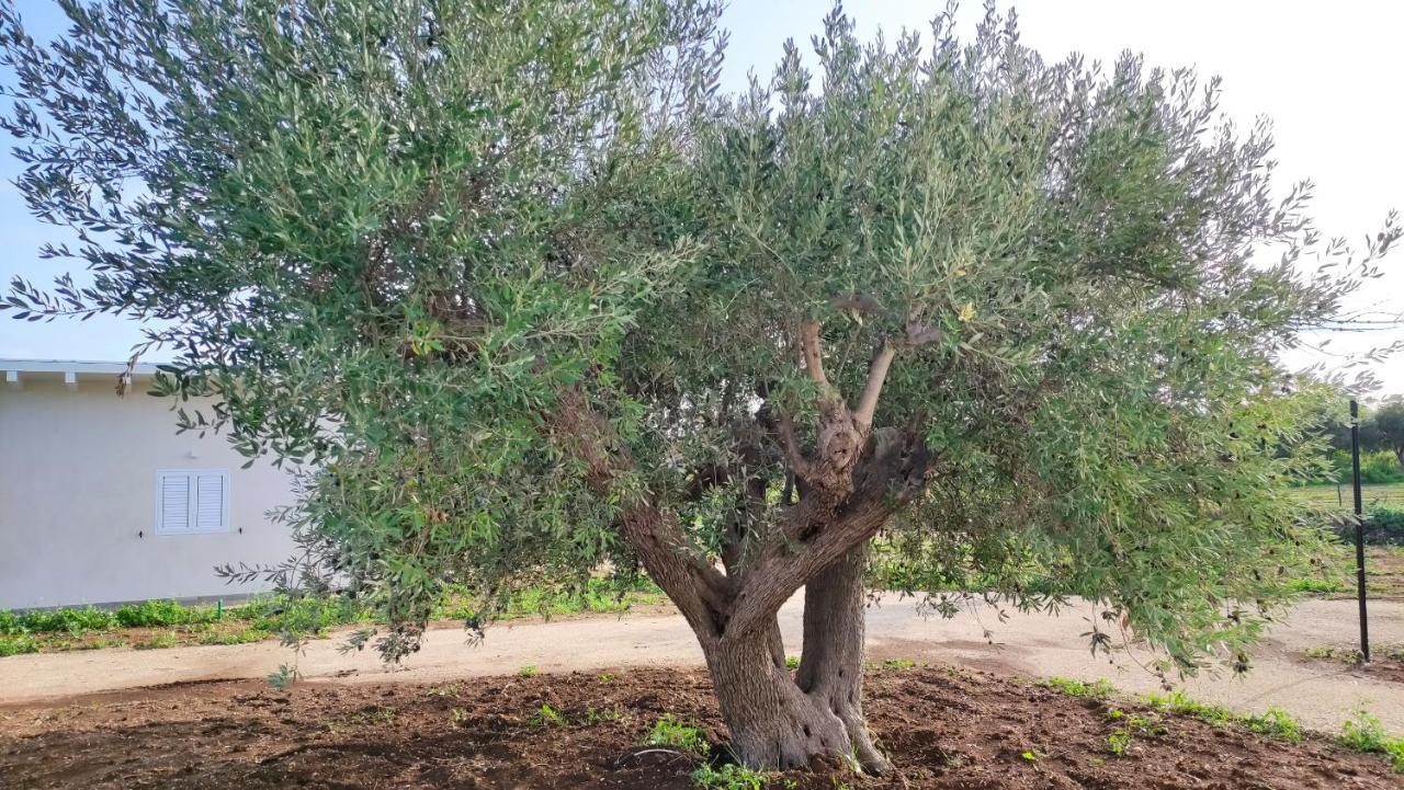 Le Zagare Di Vendicari Villa Lido di Noto ภายนอก รูปภาพ